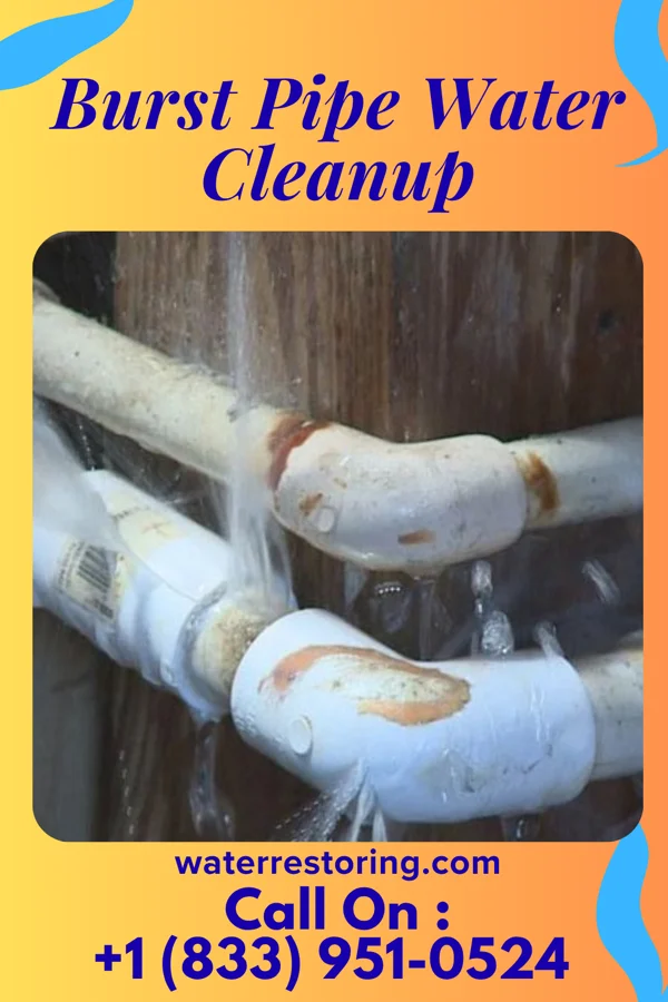 Burst Pipe Water Cleanup in St. Jacob, IL
