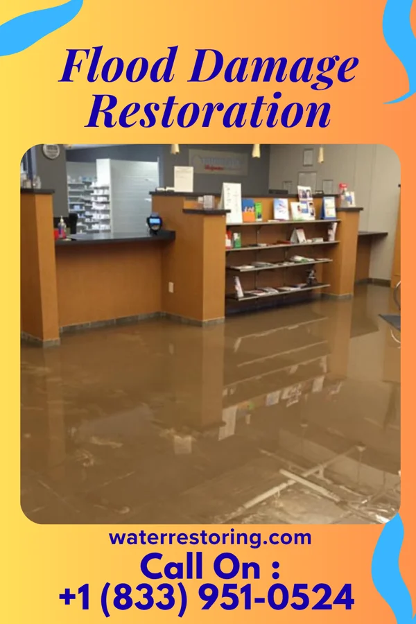 Flood Damage Restoration in St. Jacob, IL