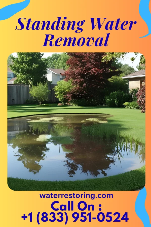 Standing Water Removal in St. Jacob, IL